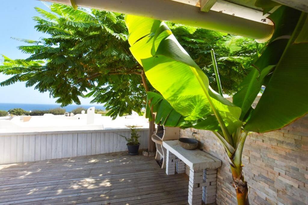 Book Jet - Costa Calma Blue Ocean Dream Terrace Apartment ภายนอก รูปภาพ